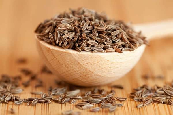 تصویر 1 از قیمت خرید زیره سیاه کوهی اصل + فروش ویژه